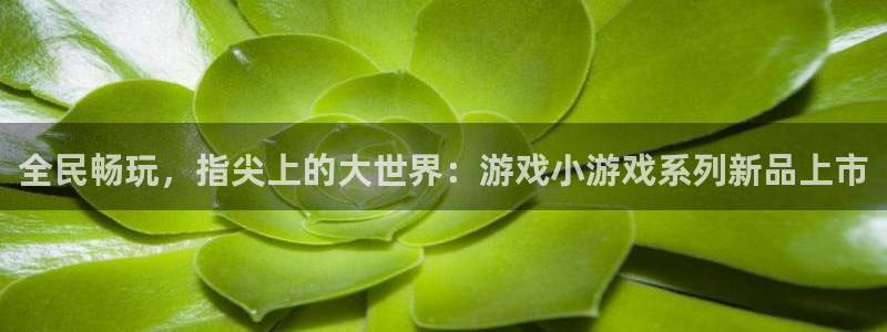 杏耀平台注册登录：全民畅玩，指尖上的大世界：游戏小游戏系列新