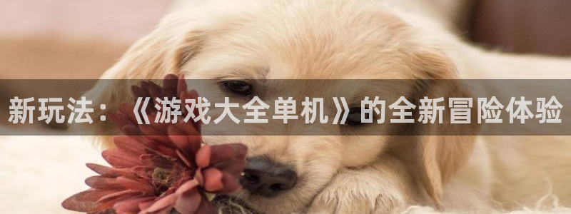 杏耀登陆电脑线路测速：新玩法：《游戏大全单机》的全新冒险体验