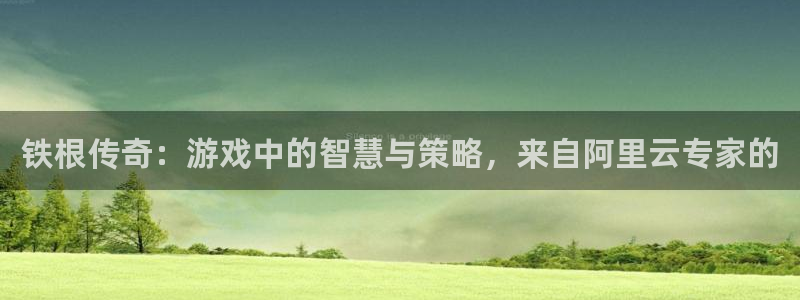 杏耀官网客服：铁根传奇：游戏中的智慧与策略，来自阿里云专家的