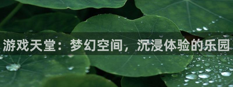 杏耀app怎样申请