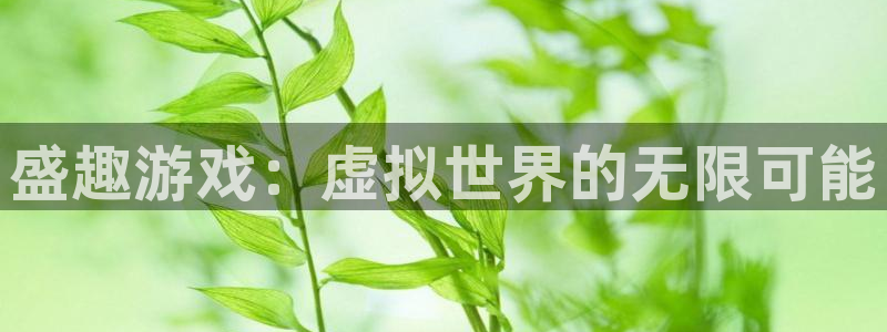 杏耀登入官网：盛趣游戏：虚拟世界的无限可能