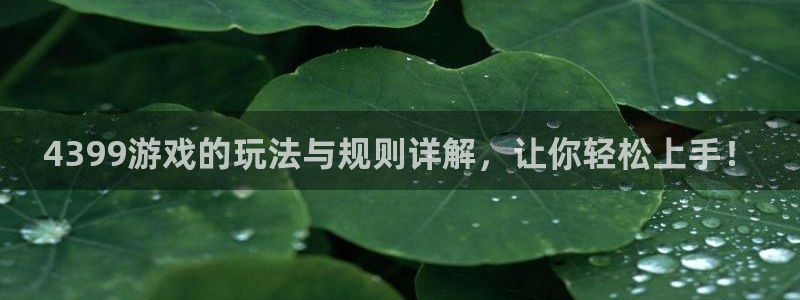 杏耀线路5检测：4399游戏的玩法与规则详解，让你轻松上手！
