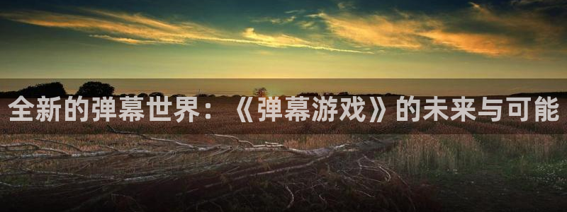 杏耀平台娱乐：全新的弹幕世界：《弹幕游戏》的未来与可能