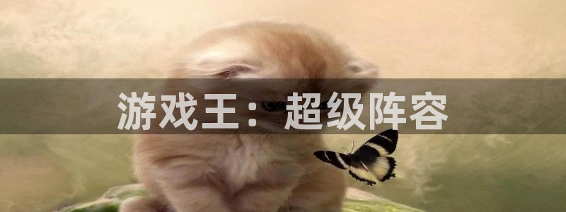 杏耀代理官网：游戏王：超级阵容