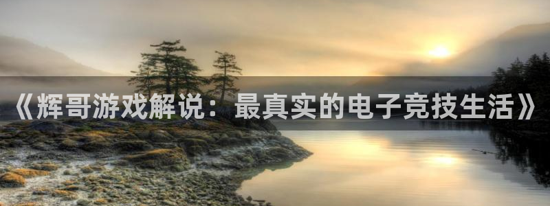 杏耀代理主管qq