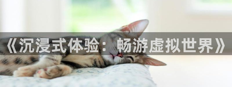 杏耀平台到底能玩吗：《沉浸式体验：畅游虚拟世界》