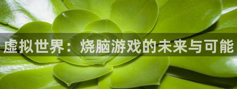 杏耀注册登录：虚拟世界：烧脑游戏的未来与可能