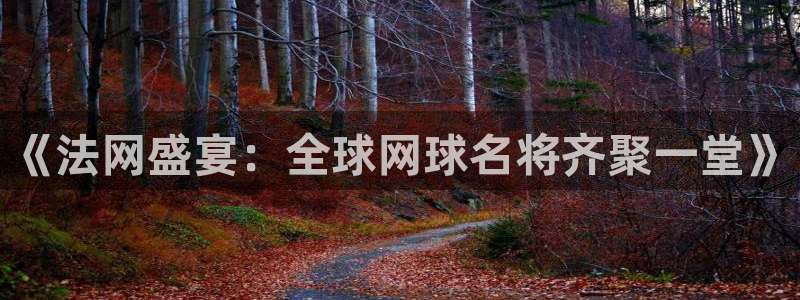 绿茵体育频道在线直播：《法网盛宴：全球网球名将齐聚一堂》