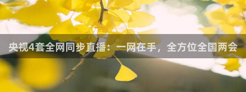 绿茵体育直播cba：央视4套全网同步直播：一网在手，全方位全国两会