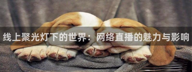 绿茵直播体育在线观看免费高清：线上聚光灯下的世界：网络直播的魅力与影响