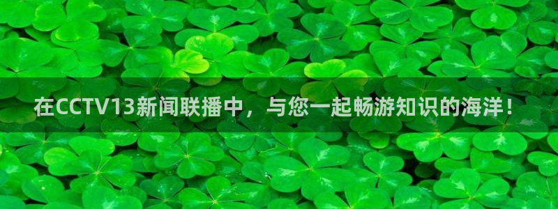 绿茵足球直播免费观看直播：在CCTV13新闻联播中，与您一起畅游知识的海洋！