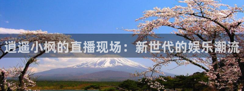 9939绿茵直播体育：逍遥小枫的直播现场：新世代的娱乐潮流