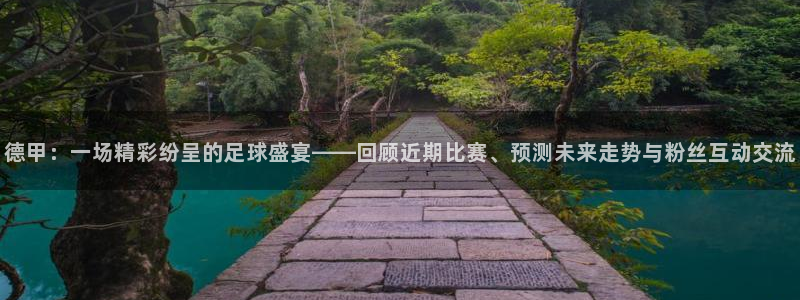 足球绿茵直播：德甲：一场精彩纷呈的足球盛宴——回顾近期比赛、预测未来走势与粉丝互动交流