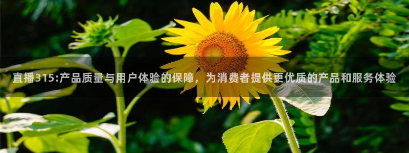 绿茵直播免费看球直播：直播315:产品质量与用户体验的保障，为消费者提供更优质的产品和服务体验