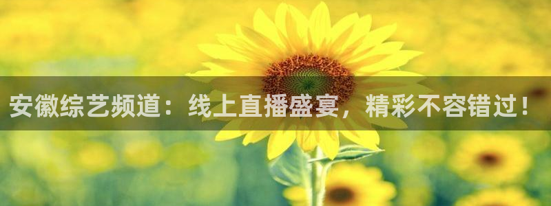 绿茵体育直播官网：安徽综艺频道：线上直播盛宴，精彩不容错过！