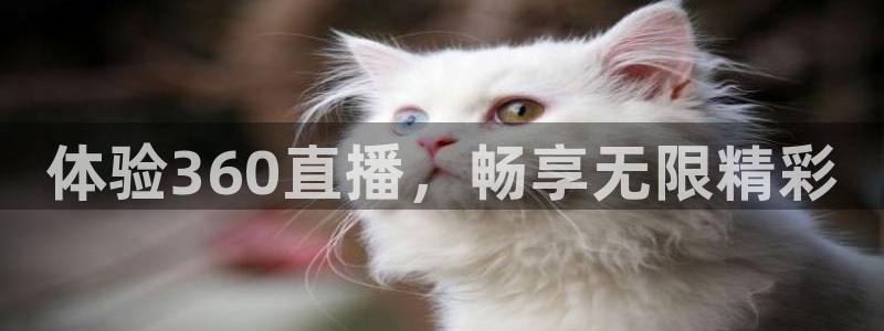 绿茵足球免费直播：体验360直播，畅享无限精彩