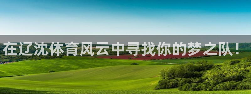 绿茵体育直播平台：在辽沈体育风云中寻找你的梦之队！