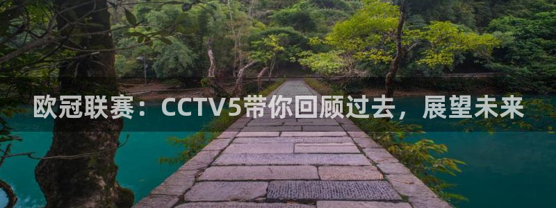 绿茵足球高清直播：欧冠联赛：CCTV5带你回顾过去，展望未来
